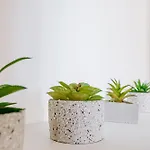 Le Tre Ninfe Apartment